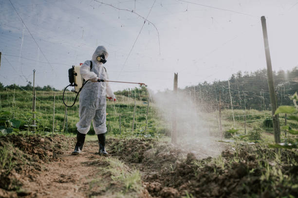 Best Local Pest Control Services  in Northeast Ithaca, NY