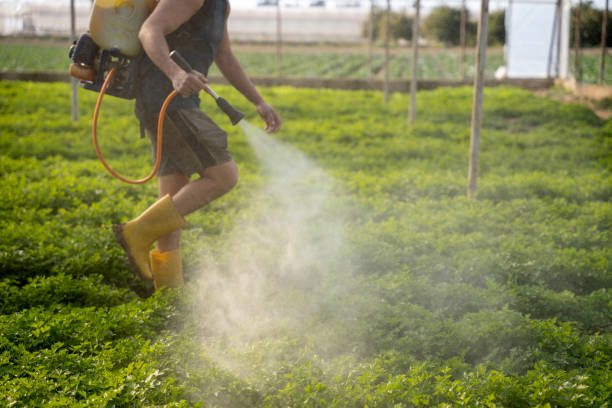 Best Ant Control Services  in Northeast Ithaca, NY