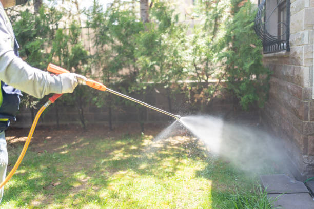 Spider Control Near Me in Northeast Ithaca, NY
