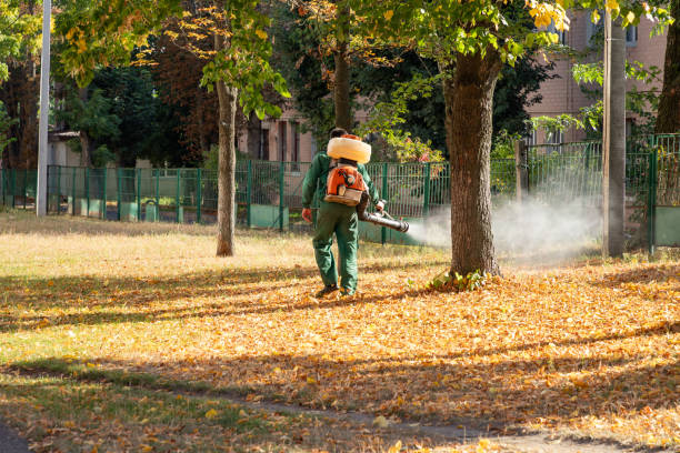 Best Mosquito Control Services  in Northeast Ithaca, NY