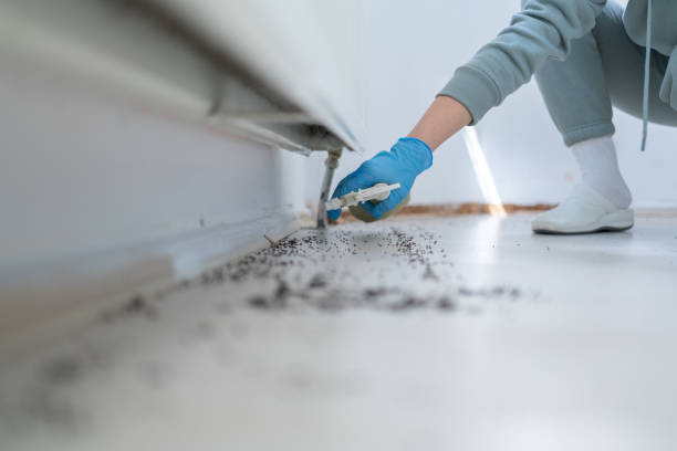 Pest Control Cost in Northeast Ithaca, NY